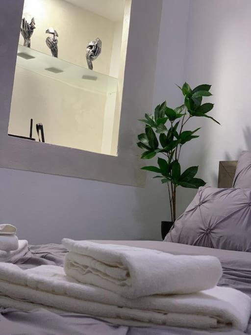 Studio Central Mm Apartments Braşov Exteriör bild