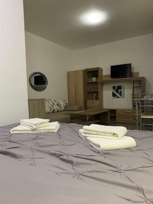 Studio Central Mm Apartments Braşov Exteriör bild