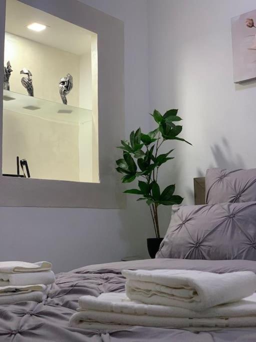 Studio Central Mm Apartments Braşov Exteriör bild