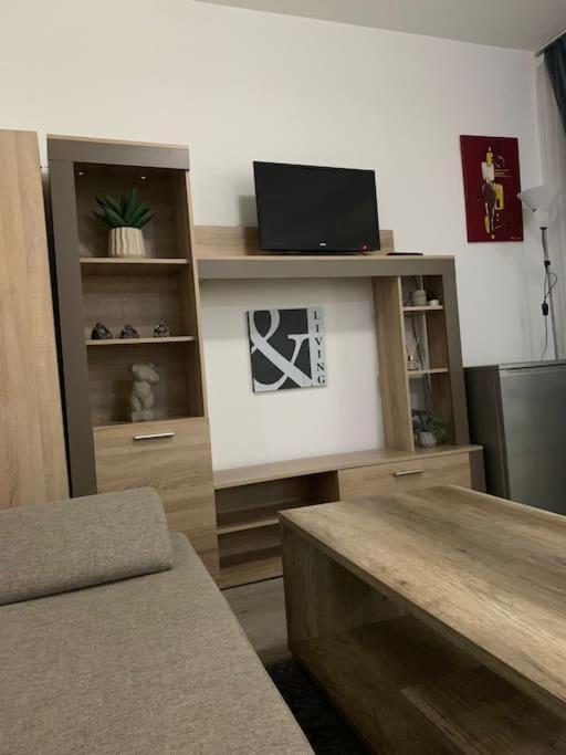 Studio Central Mm Apartments Braşov Exteriör bild
